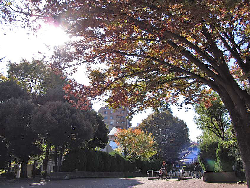 e0129656_2246252.jpg