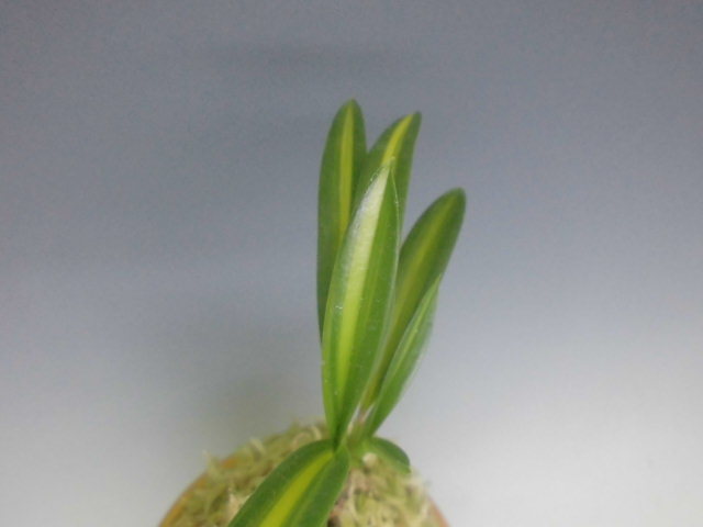 f0318967_21104420.jpg