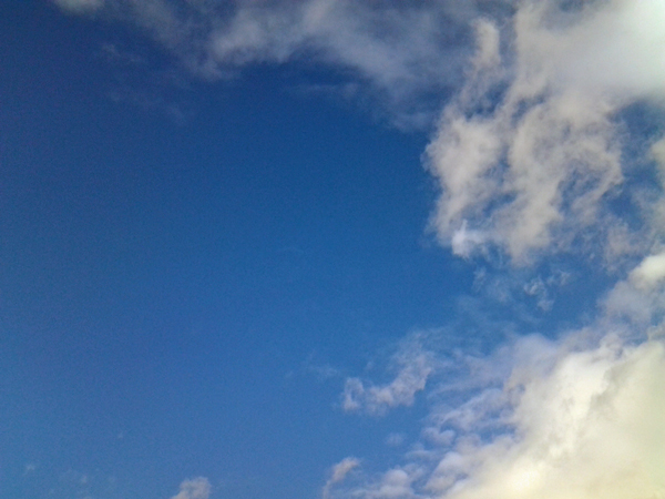 b0131968_0233851.jpg