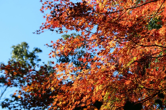 a0127090_2158357.jpg