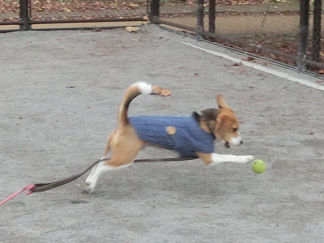 a0319693_21434083.jpg