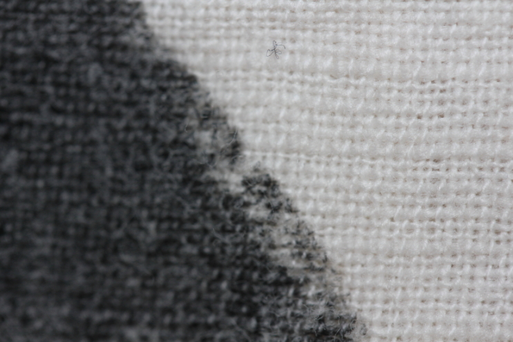 c0325097_941169.jpg