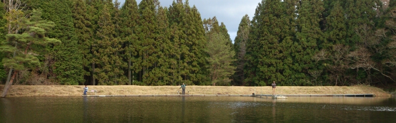 f0266202_18355820.jpg
