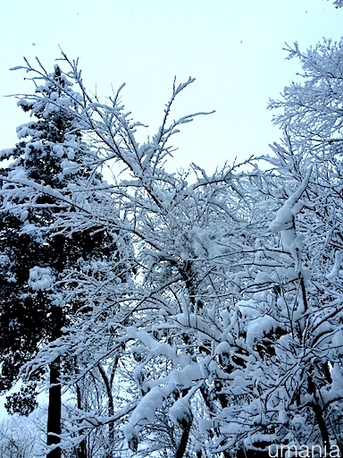 b0061004_20394943.jpg