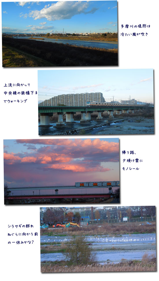 c0051105_23221211.jpg