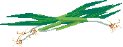 f0231709_19441643.png
