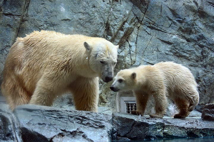 a0151913_23175891.jpg