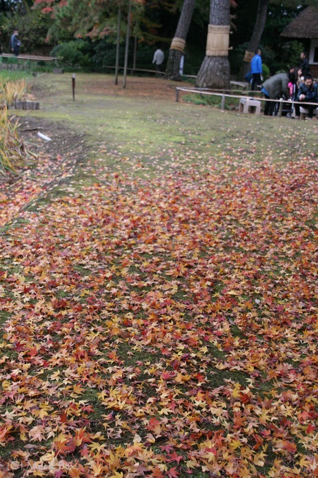 c0071221_822138.jpg