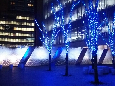 f0106823_115585.jpg