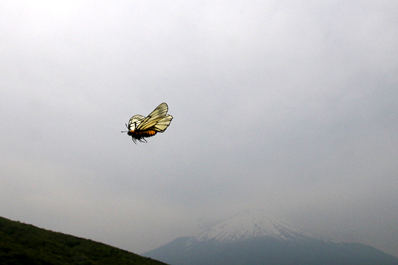 d0054625_1547146.jpg
