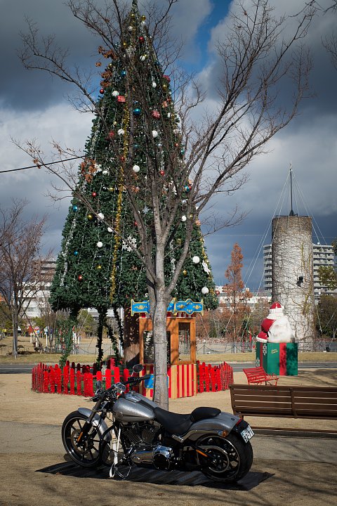 b0134829_21165330.jpg
