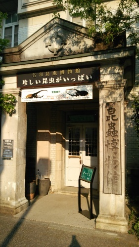 c0337631_09312542.jpg