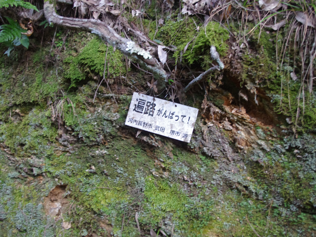 f0008935_21192642.jpg