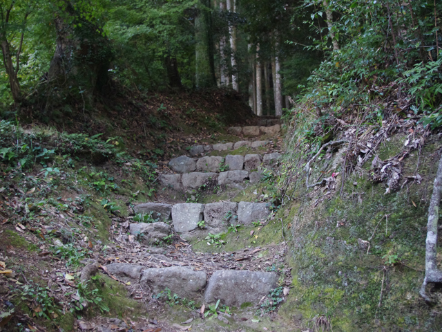 f0008935_21203558.jpg