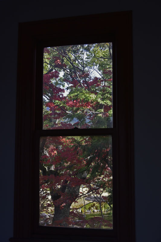 b0042837_4135068.jpg