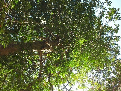 e0272042_18142059.jpg