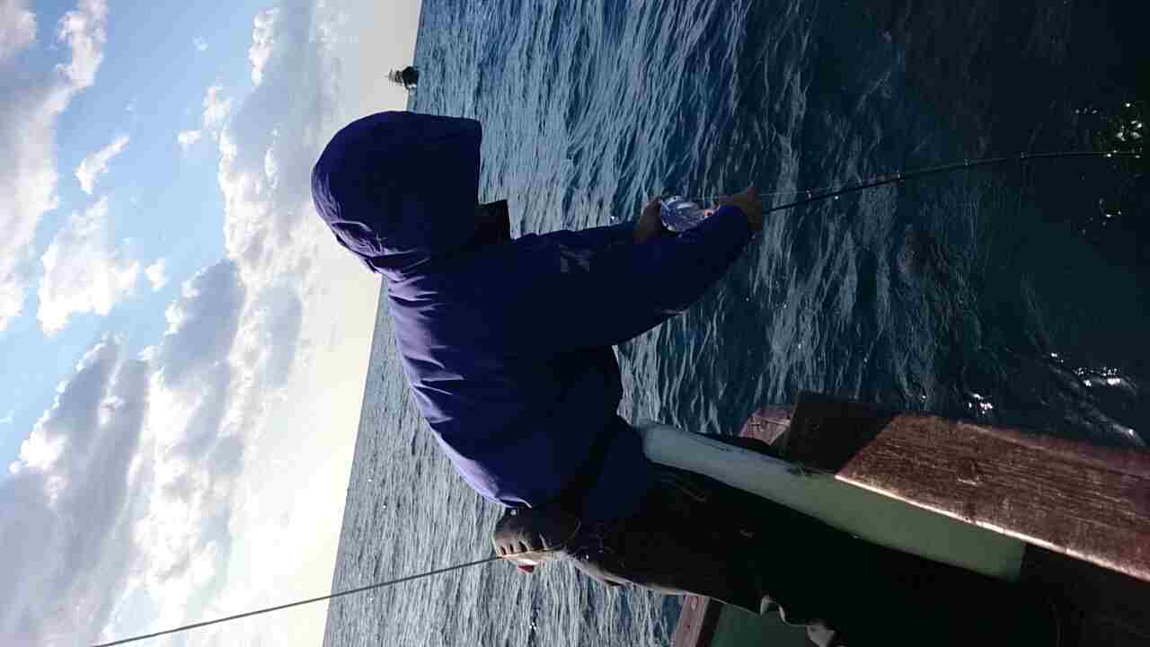 a0248152_189975.jpg