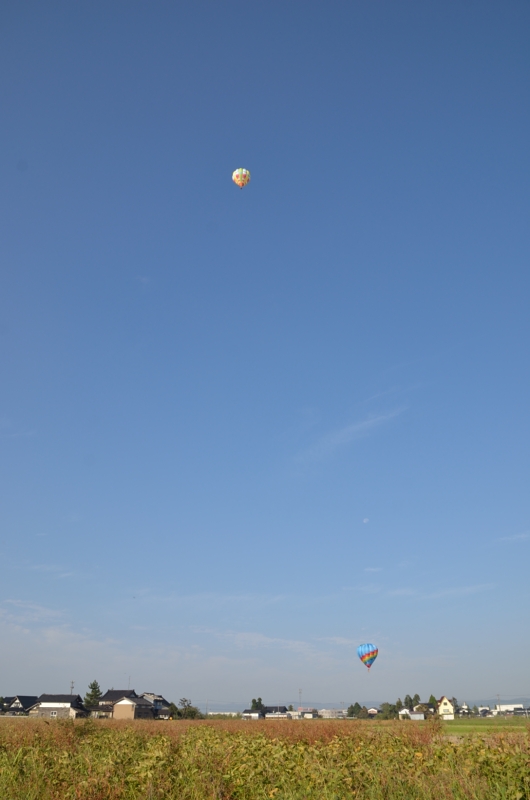 a0263952_176278.jpg