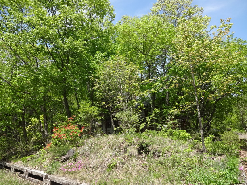 f0198556_022637.jpg