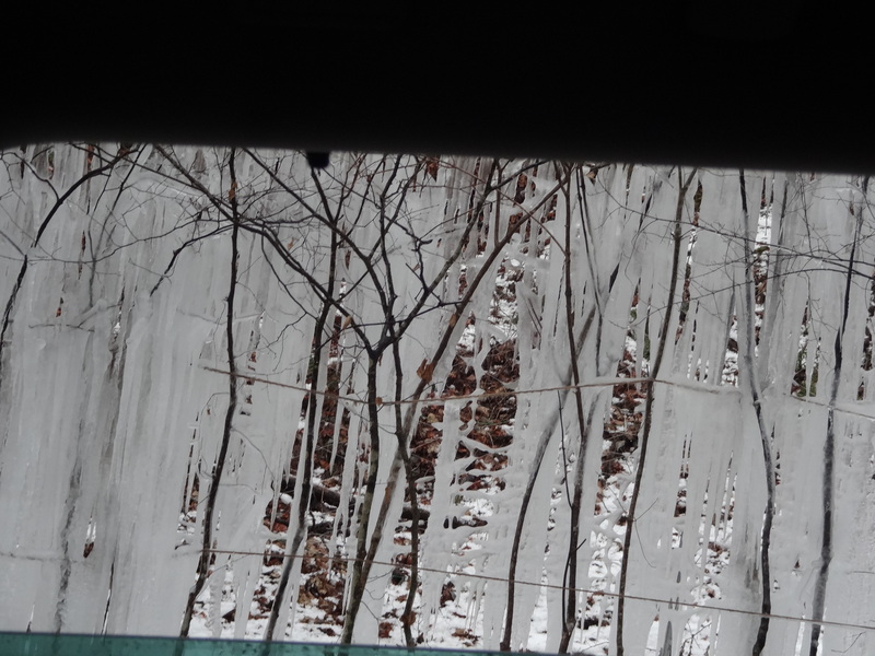 f0198556_053341.jpg
