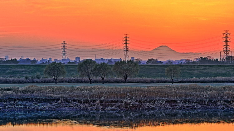 a0150260_0225595.jpg