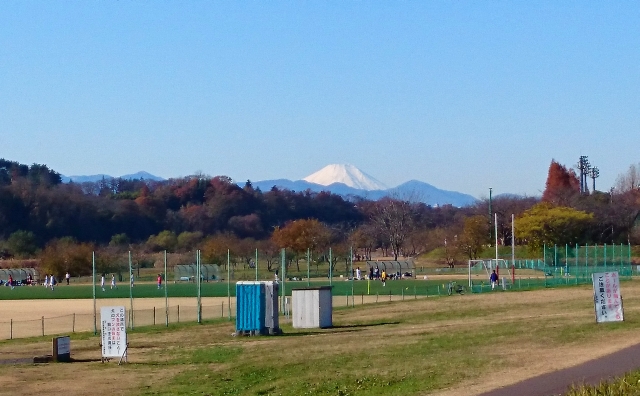 b0024261_1773784.jpg