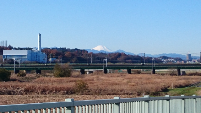 b0024261_177860.jpg