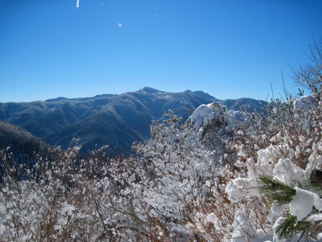 c0219866_174582.jpg