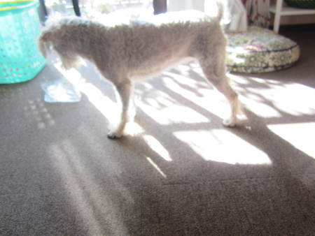 d0264176_20404323.jpg