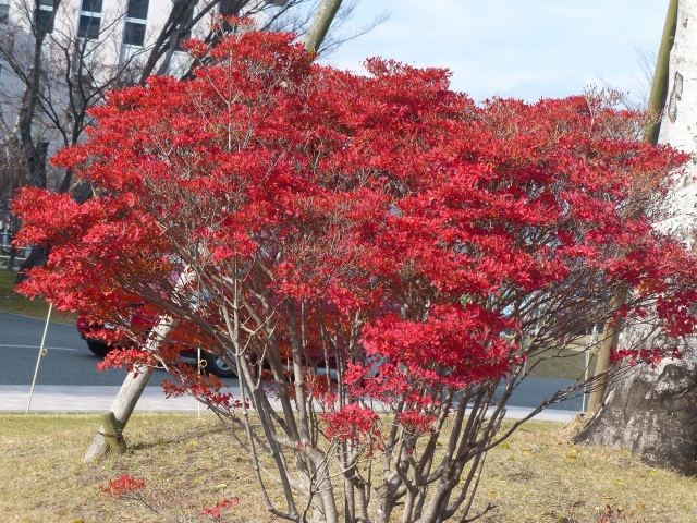 f0357487_2240676.jpg