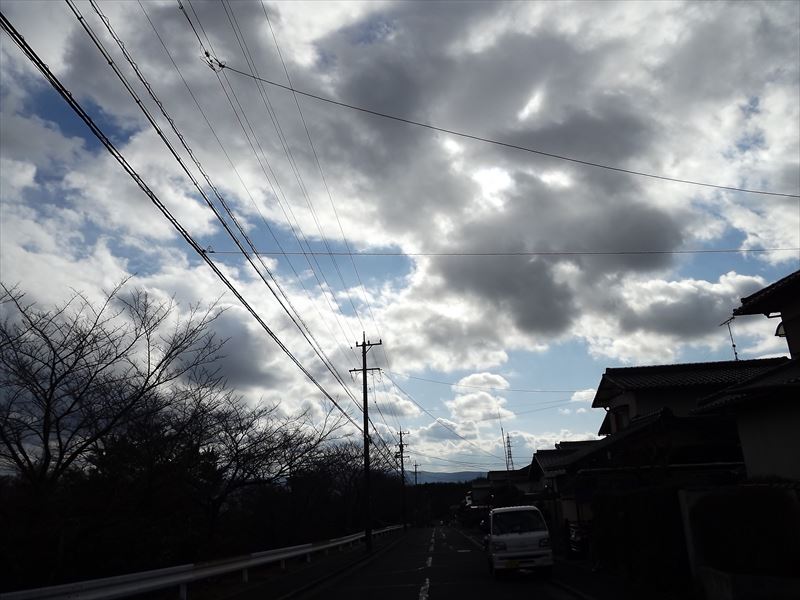 c0108198_17541115.jpg