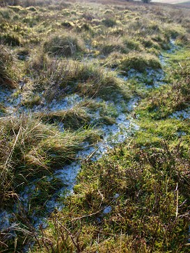 b0110999_23232664.jpg