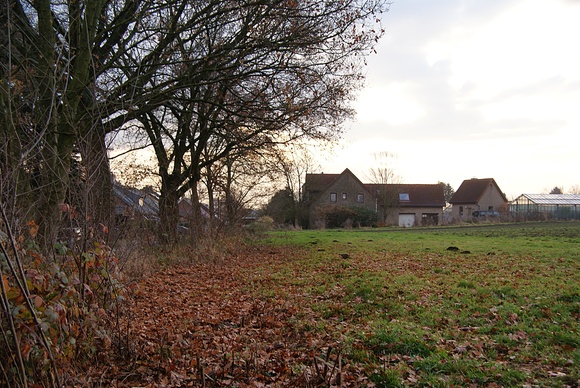e0127304_10104154.jpg