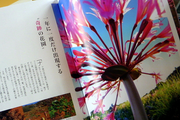 a0214206_21212436.jpg