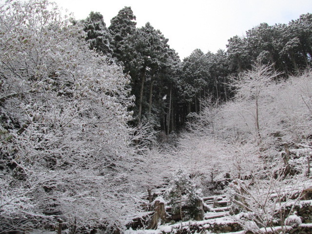 f0341616_07150230.jpg