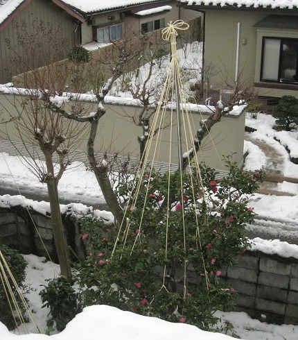 c0084117_193712100.jpg