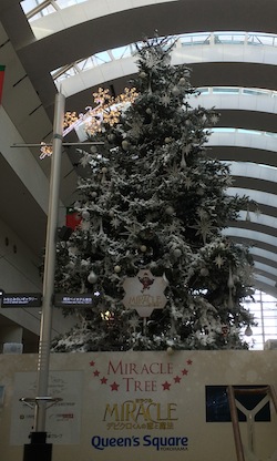 d0179818_13372760.jpg