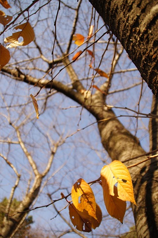 c0235725_21395169.jpg