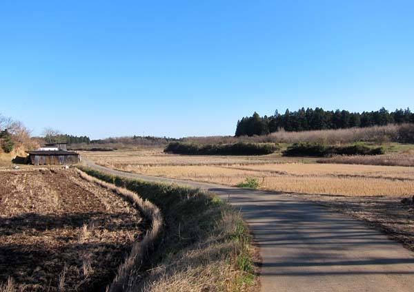 f0147025_1953326.jpg