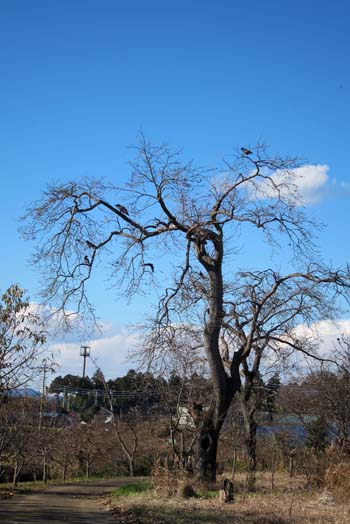 f0147025_19563224.jpg