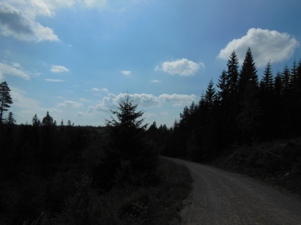 f0165730_02433798.jpg