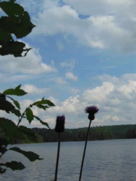 f0165730_02491498.jpg