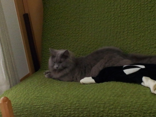 f0009031_22334479.jpg