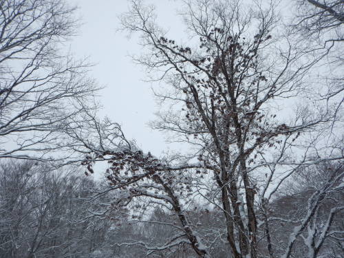 f0118332_00171734.jpg