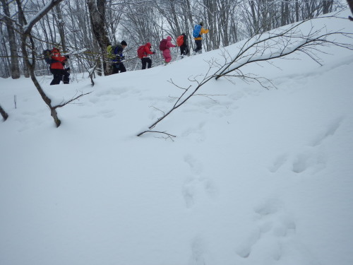 f0118332_00173029.jpg