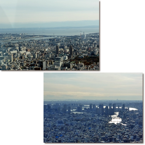 d0140133_13333530.jpg