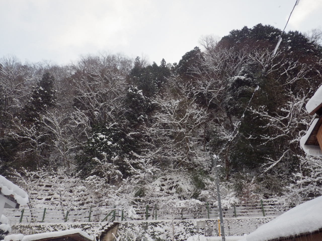 c0300035_8435331.jpg