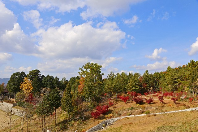 a0242438_14592143.jpg