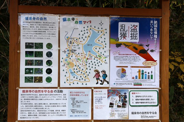 a0242438_150195.jpg