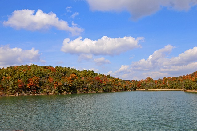 a0242438_15059.jpg
